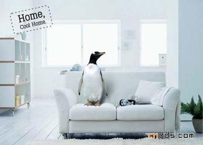 創(chuàng)意廣告設(shè)計(jì) 從概念到視覺(jué)的魔法之旅